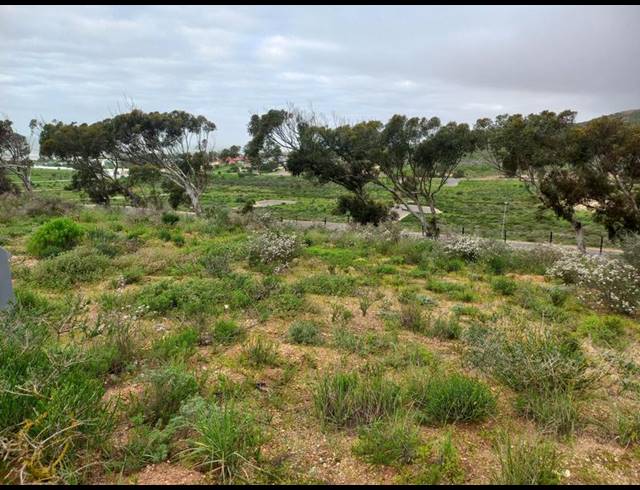 LAND FOR SALE IN SANDY POINT
